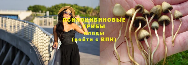ПСИЛОЦИБИНОВЫЕ ГРИБЫ Покров