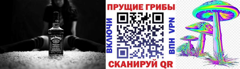 Галлюциногенные грибы мицелий  где купить   Отрадный 
